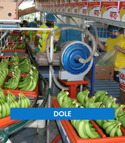 Clarico-Mega Menus Style 1